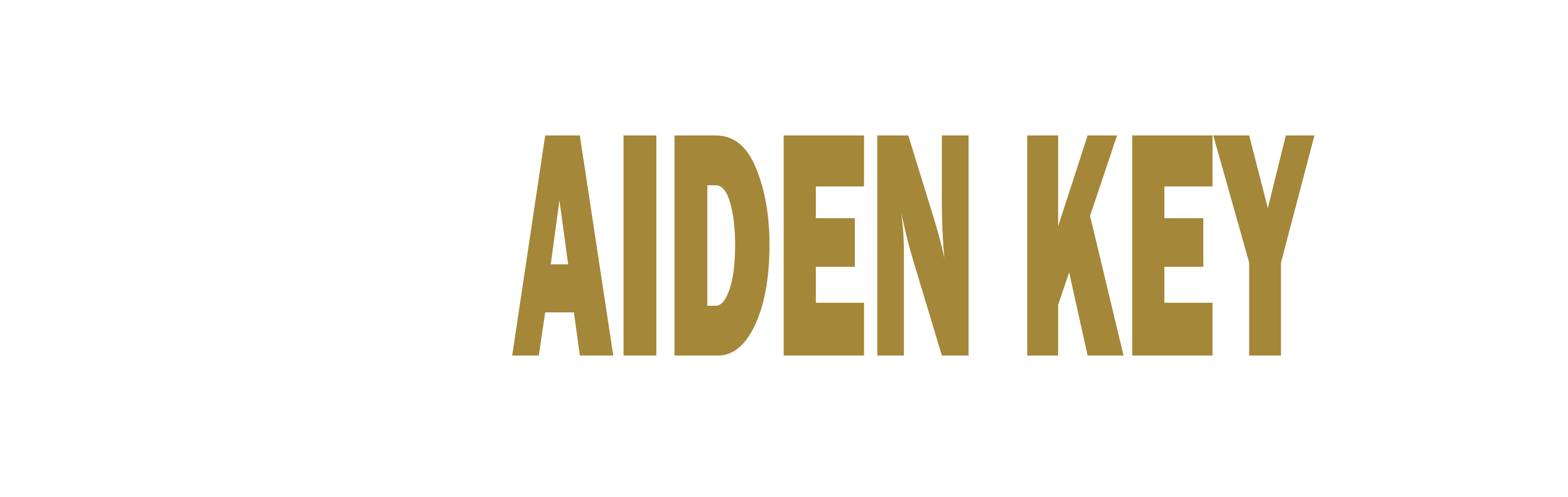 Footer Logo